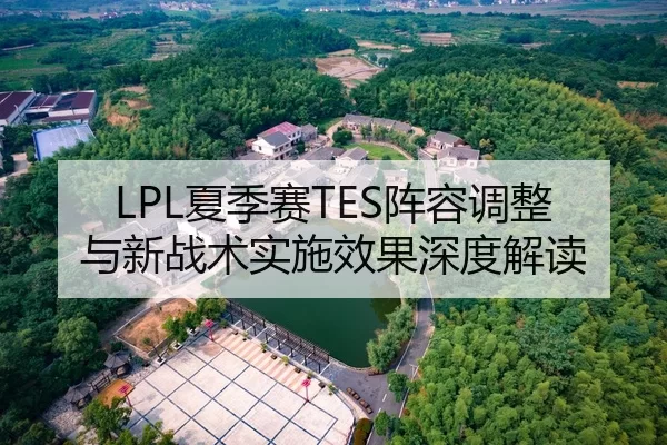 LPL夏季赛TES阵容调整与新战术实施效果深度解读
