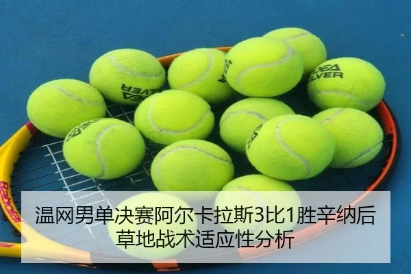wen-wang-nan-dan-jue-sai-a-er-ka-la-si-bi-sheng-xin-na-hou-cao-di-zhan-shu-shi-ying-xing-fen-xi-3-416.jpg